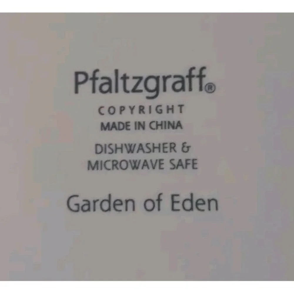 Pfaltzgraff Garden of‎ Eden 8.5